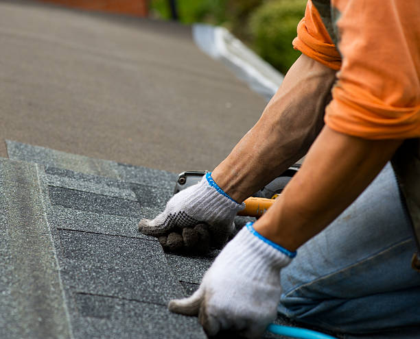 Best Roof Gutter Cleaning  in Castle Point, MO
